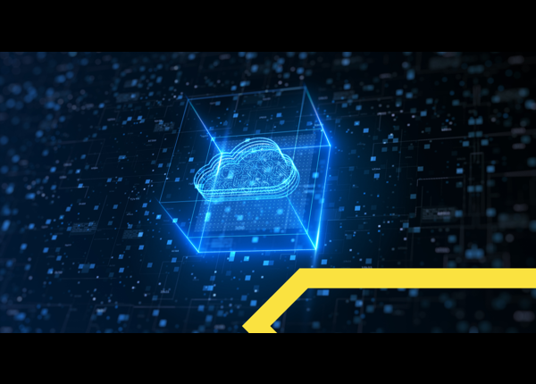 Judge, Jury & Executioner: Why the Identity Consolidation Game is Dangerous